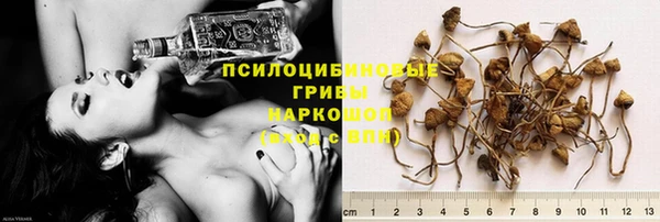 амф Бугульма