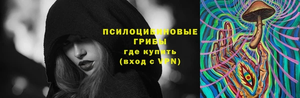 эйфоретик Бородино