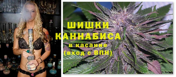 эйфоретик Бородино