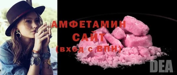 крисы Бронницы