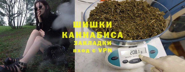крисы Бронницы