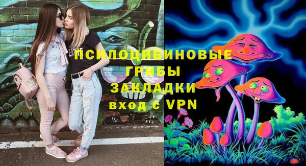 эйфоретик Бородино