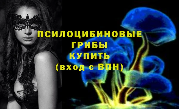 крисы Бронницы