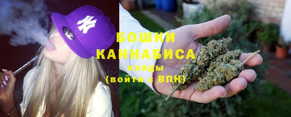 эйфоретик Бородино